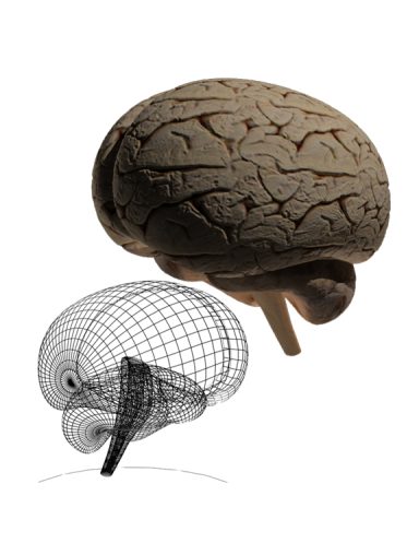 3D Model